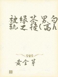 被绿茶男勾引出轨之后(高h