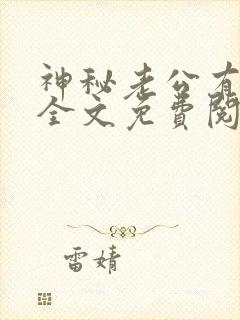神秘老公有点坏全文免费阅读全文