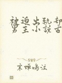 被迫出轨却上瘾男主小说古言