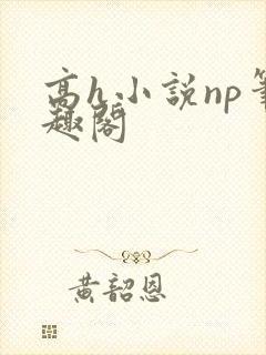 高h小说np笔趣阁封面