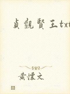 贞观贤王txt封面