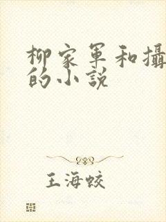 柳家军和摄政王的小说
