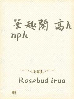笔趣阁 高h nph