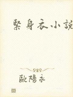 紧身衣小说
