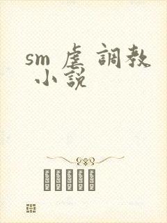 sm 虐 调教 小说