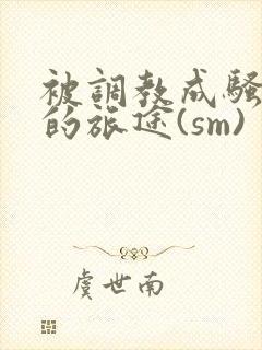 被调教成骚母狗的旅途(sm)