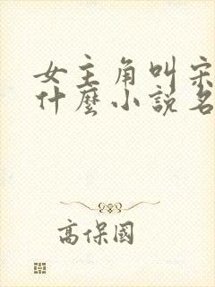 女主角叫宋瑶是什么小说名字