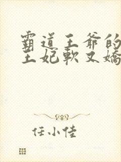 霸道王爷的替嫁王妃软又娇 小说