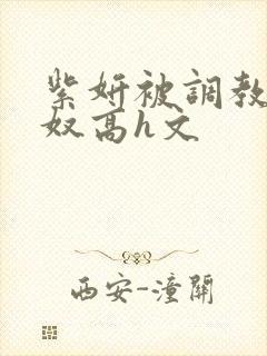 紫妍被调教成肉奴高h文