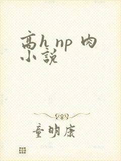 高h np 肉小说
