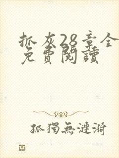 抓灰28章全部免费阅读