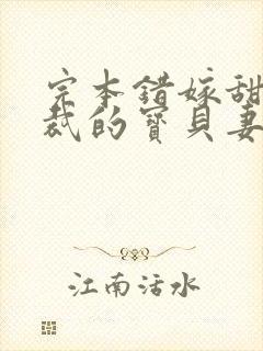完本错嫁甜婚总裁的宝贝妻