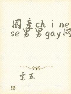 国产chⅰnese男男gay网站