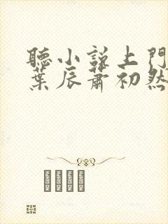 听小说上门龙婿叶辰萧初然