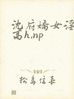 沈府娇女淫史(高h,np