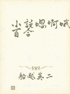 小说嗯啊哦女女百合