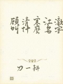 顾清寒江澈小说叫什么名字