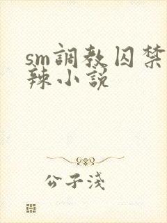 sm调教囚禁高辣小说封面