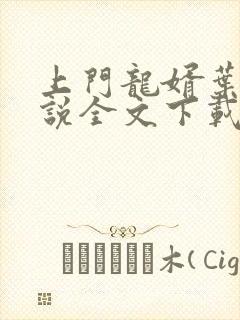 上门龙婿叶辰小说全文下载