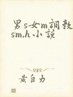 男s女m调教(sm,h小说