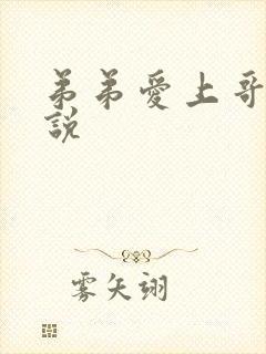 弟弟爱上哥哥小说