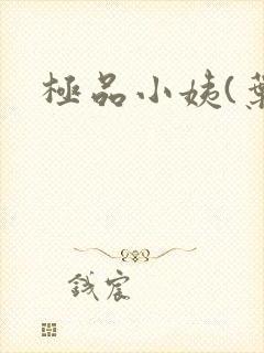 极品小姨(叶凡