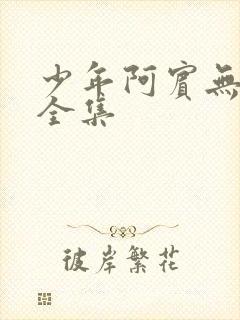 少年阿宾无删减全集