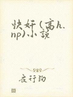 快奸 (高h.np)小说