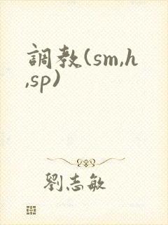调教(sm,h,sp)封面