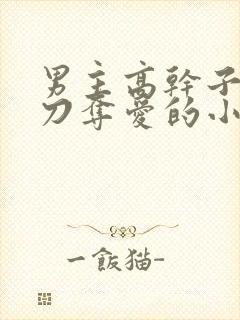 男主高干子弟横刀夺爱的小说