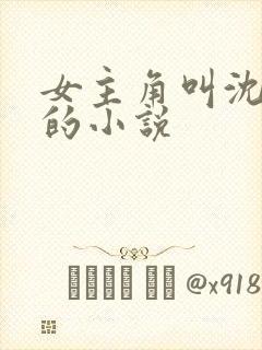 女主角叫沈知意的小说