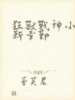 狂兽战神小说最新章节封面