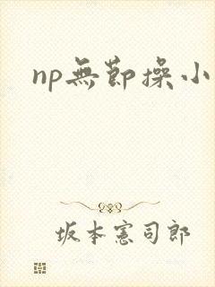 np无节操小说