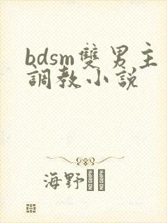 bdsm双男主调教小说