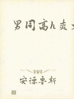 男同高h爽文