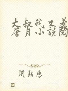 大叔我又惹祸了唐月小说阅读全文