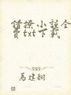 错撩小说全文免费txt下载