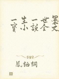 一生一世墨宝非宝小说全文免费阅读