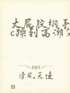 大屁股纲手被狂c躁到高潮失禁小说封面