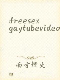 freesexgaytubevideo
