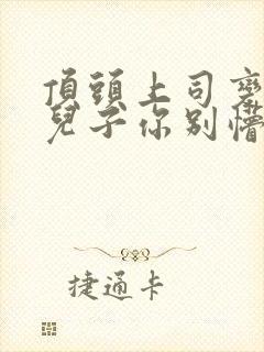 顶头上司变后妈儿子你别懵在线