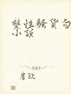 双性骚货勾引人小说封面