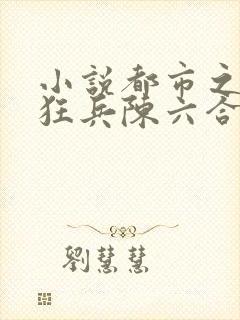 小说都市之最强狂兵陈六合
