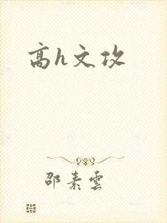 高h文攻