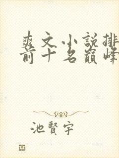 爽文小说排行榜前十名巅峰之作