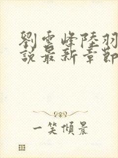 刘云峰陆羽的小说最新章节封面