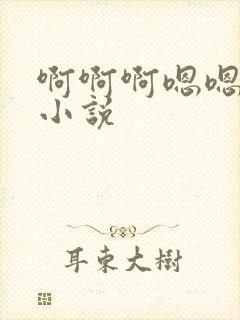 啊啊啊嗯嗯嗯h小说封面