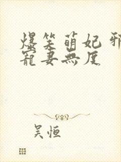爆笑萌妃 邪王宠妻无度