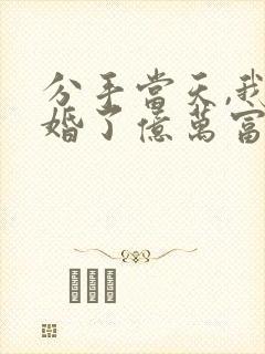 分手当天,我闪婚了亿万富豪小说免费阅读