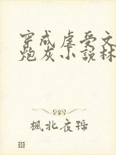 穿成虐受文里的炮灰小说林渊